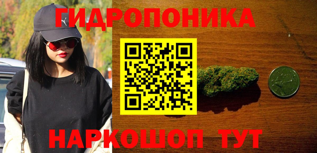 Ачхой-Мартан  Конопля MAZAR  Каннабис планчик  Вход с VPN  Шишки марихуана ГИДРОПОН  Марихуана Bruce Banner 